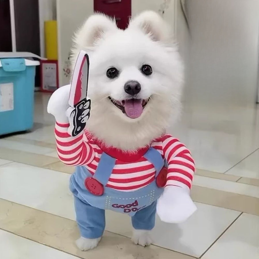 Halloween Pet Costume | Dog & Cat Outfits
